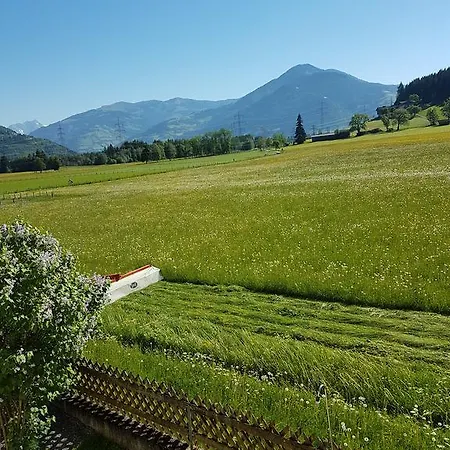 Appartement Reindl 2