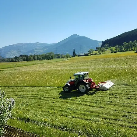 Reindl 2 Summer Card Included Lejlighed *