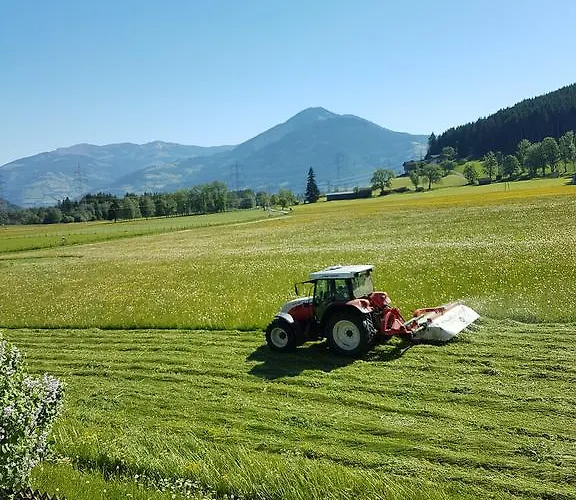 Reindl 2 Summer Card Included 아파트 *